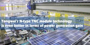 Tongweis-N-型-TNC-模块技术-发电增益的卖方-卖方-卖方条款
