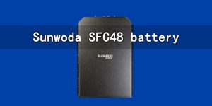 欣旺达SFC48电池