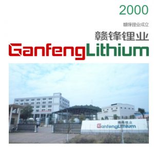 赣锋锂业集团