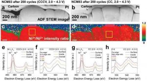NCM83 CCCV的ADF STEM图像