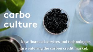 新的金融服务和技术正在进入碳信用市场。