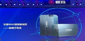 爱玛公司