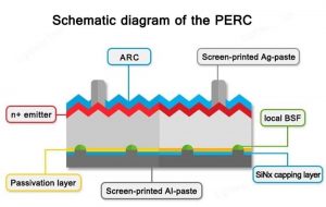 PERC电池结构示意图