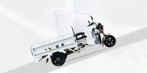 金彭霸王龙150三轮车